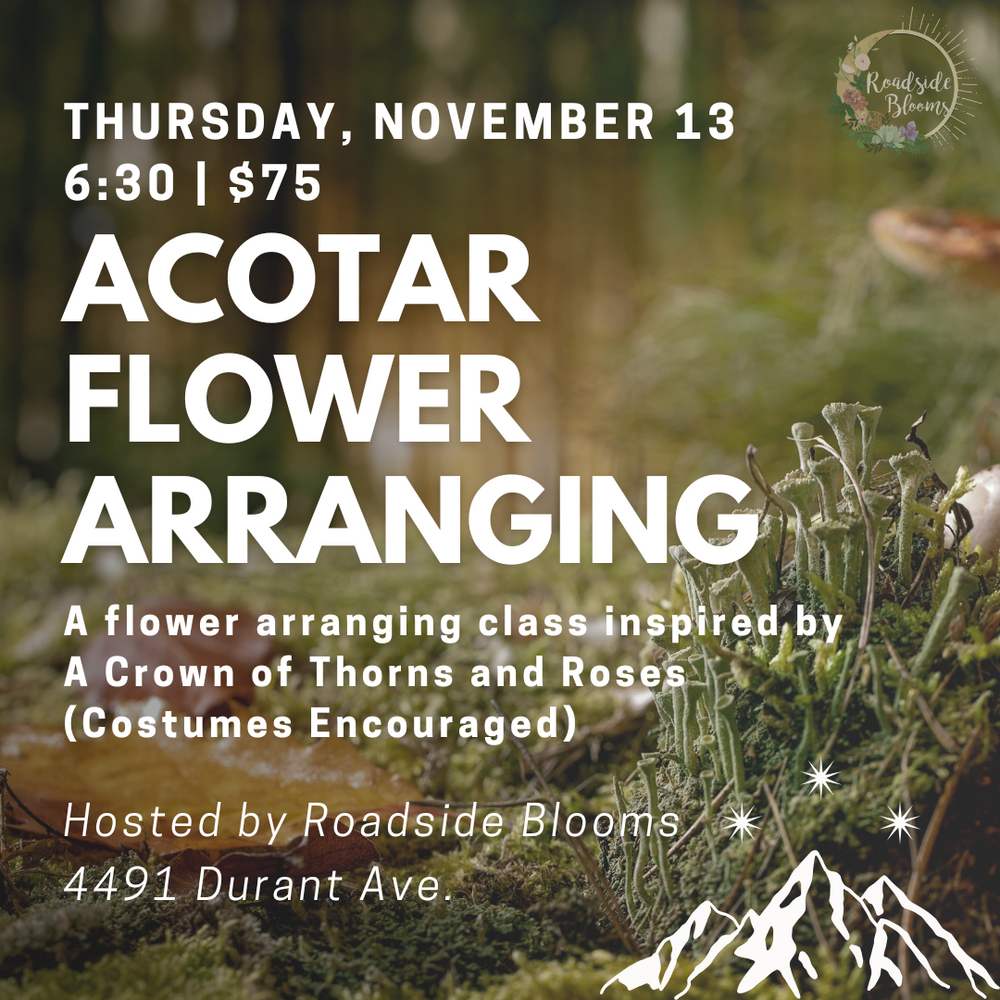 Thurs, Nov 13th | ACOTAR Flower Arranging