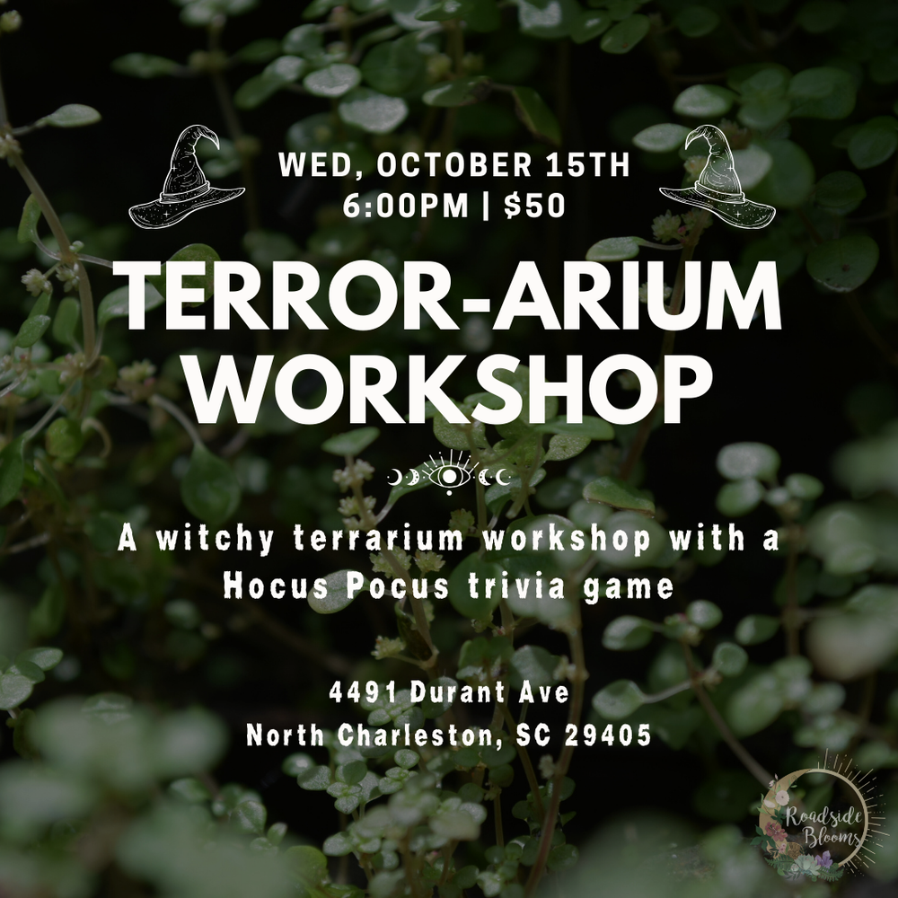 Wednesday, Oct. 15th | Halloween 