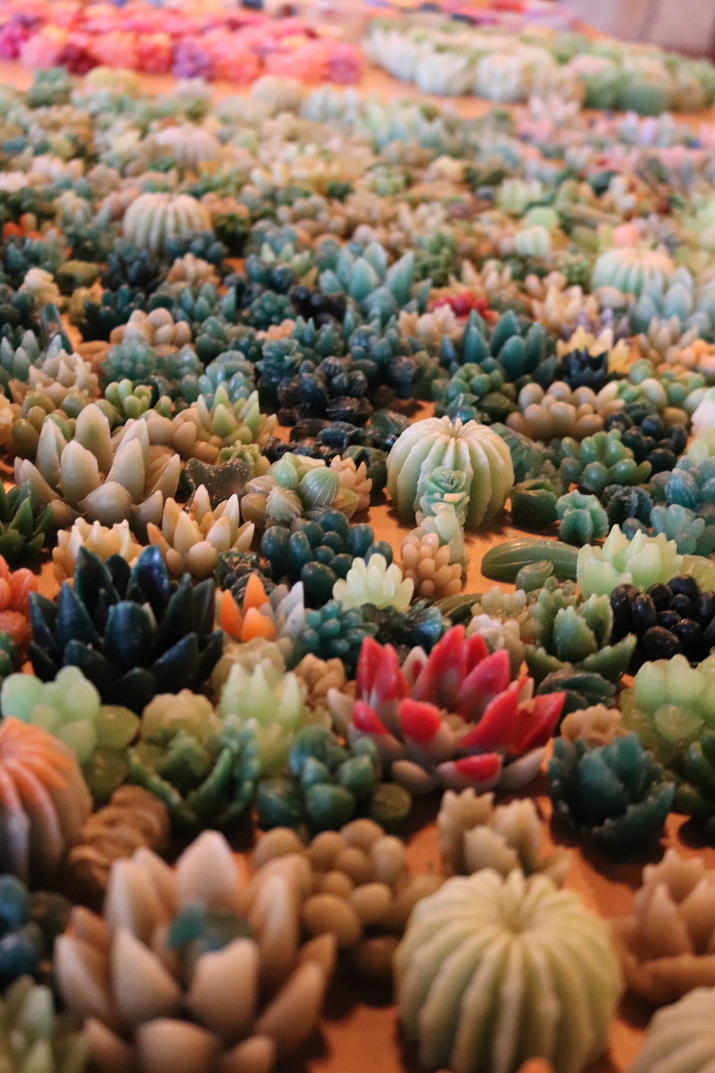 
                  
                    Sunday, Sept 20th | Terrarium Candle Class w/ Pup Country Candles
                  
                