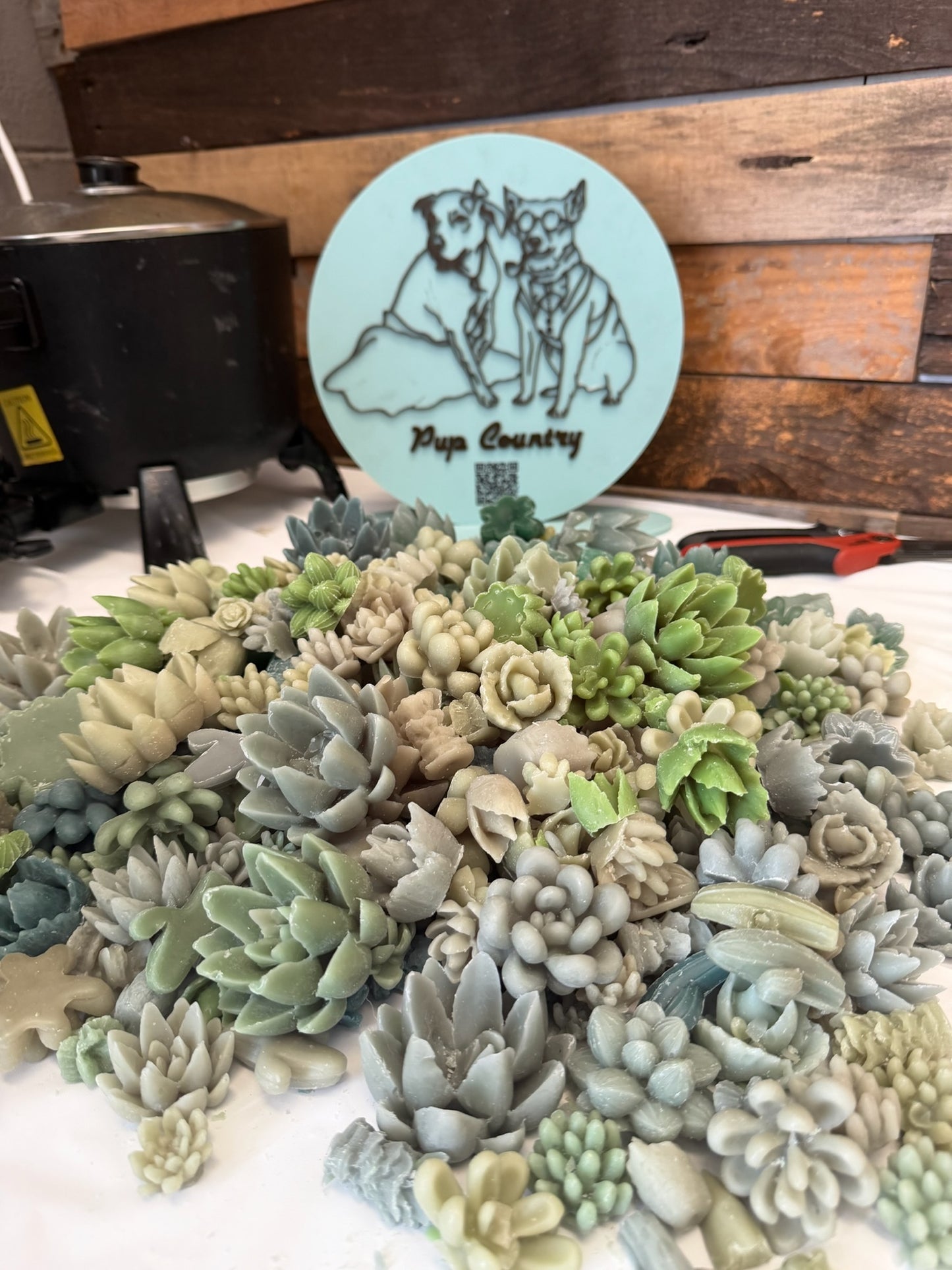 
                  
                    Sunday, Sept 20th | Terrarium Candle Class w/ Pup Country Candles
                  
                