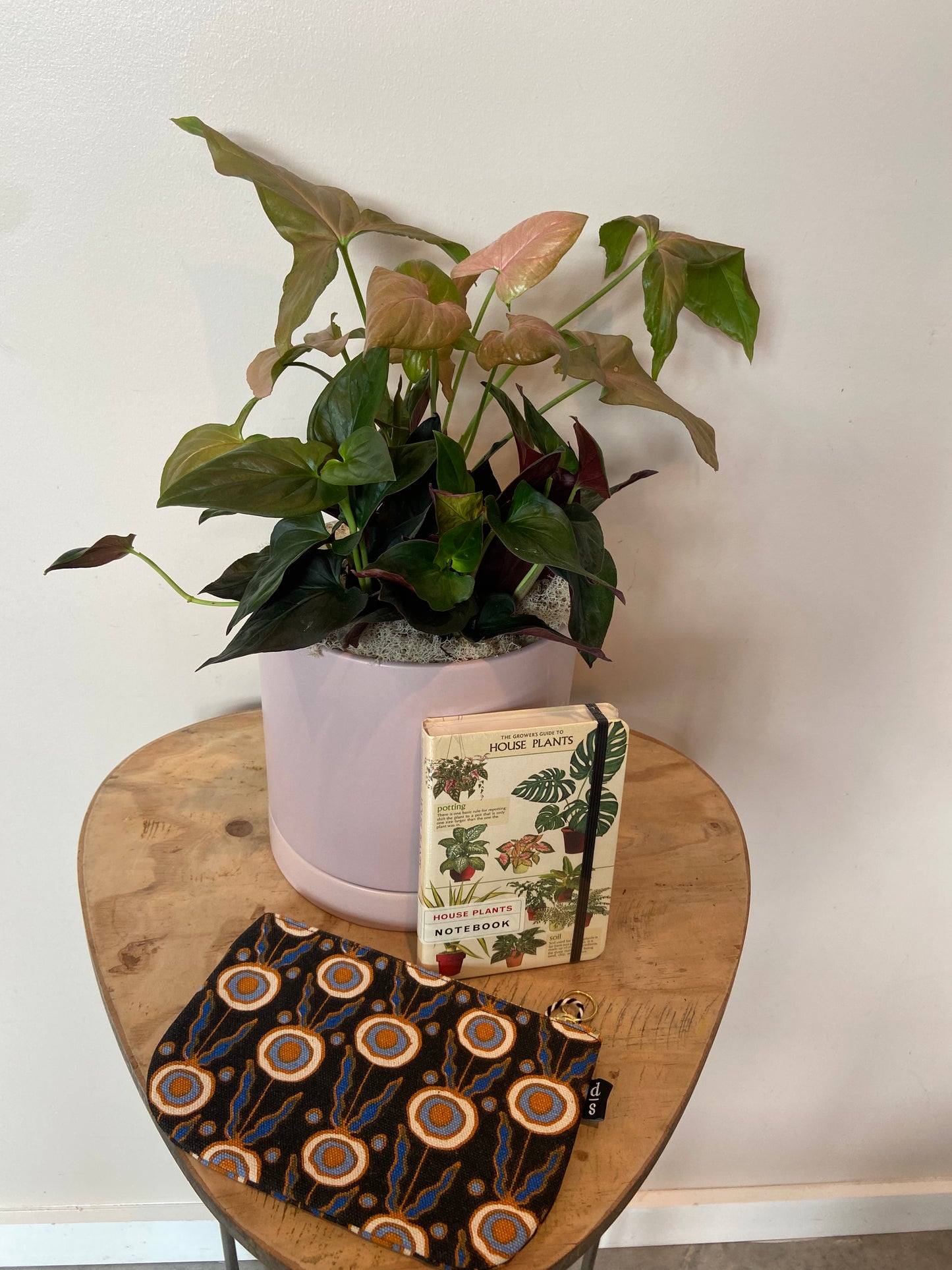 house plant presents Potted Plant Gift Set – Roadside Blooms