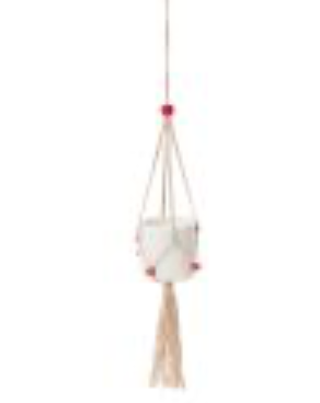 Tillandsia Macrame