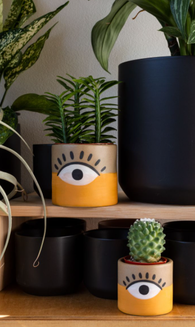Vision Pot