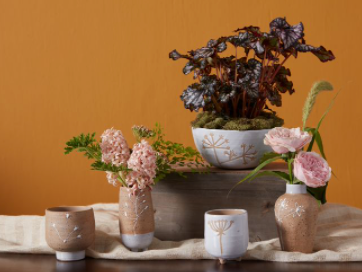 Umbel Pot