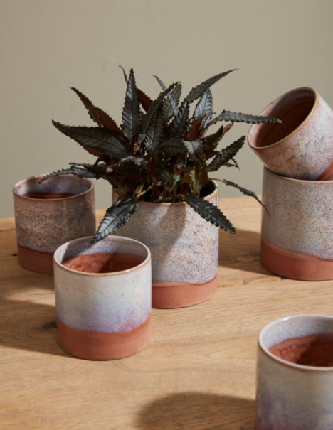 Himalaya Pot 4