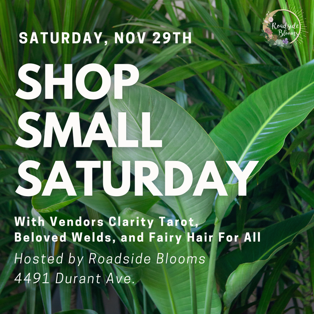 Saturday, Nov 29th | Shop Small Saturday