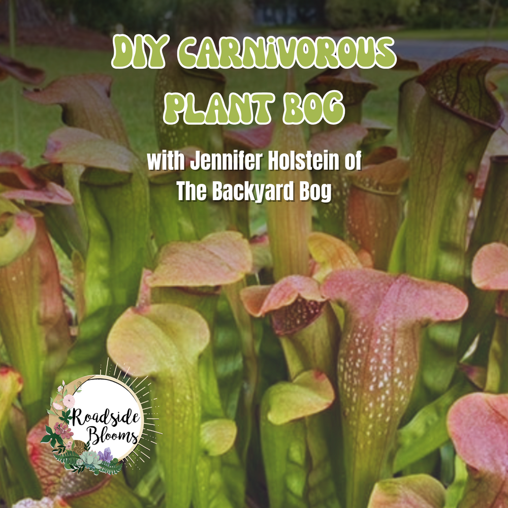 MAKE YOUR OWN CARNIVOROUS PLANT BOG WITH JENNIFER HOLSTEIN - SUNDAY JULY 13TH