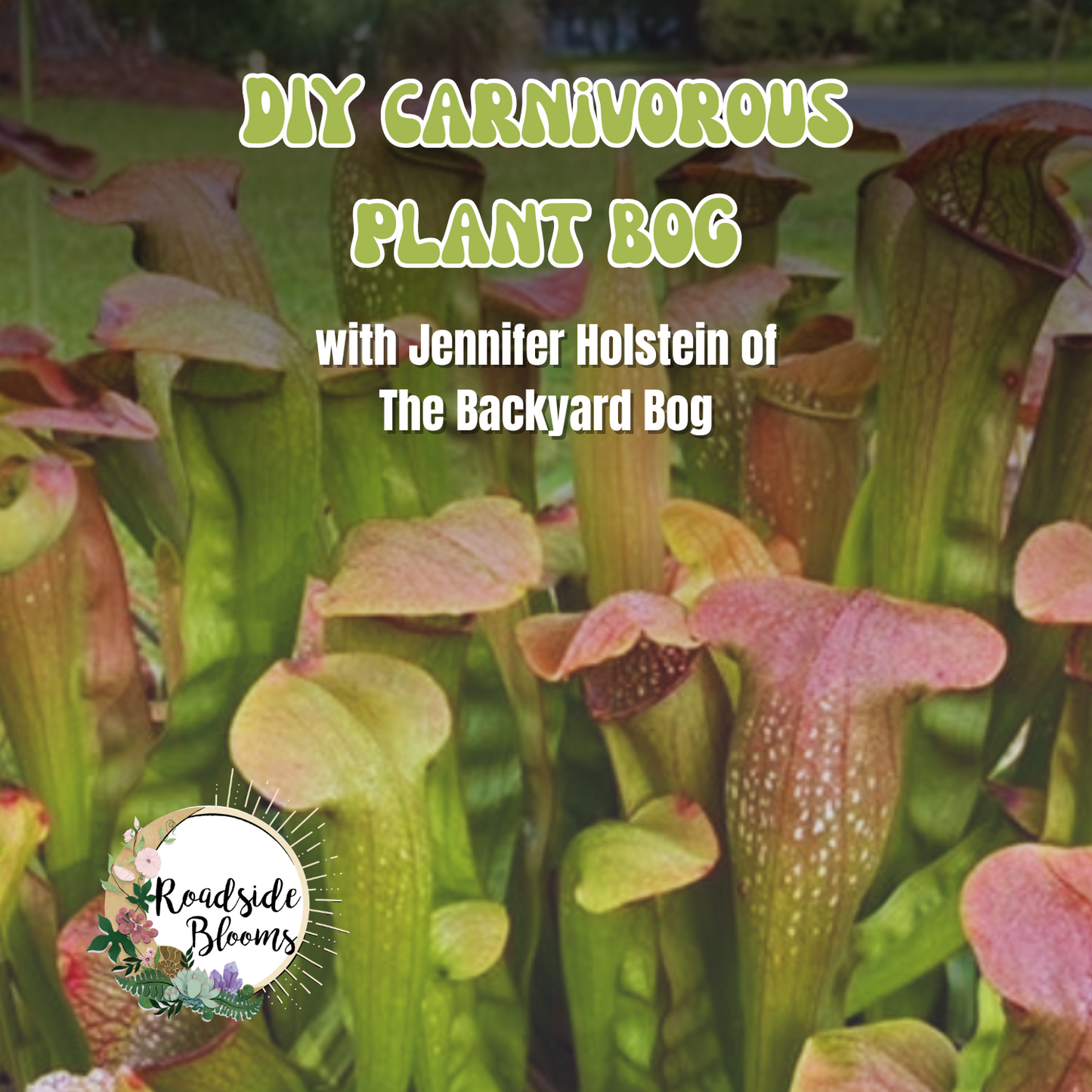 
                  
                    MAKE YOUR OWN CARNIVOROUS PLANT BOG WITH JENNIFER HOLSTEIN - SUNDAY JULY 13TH
                  
                