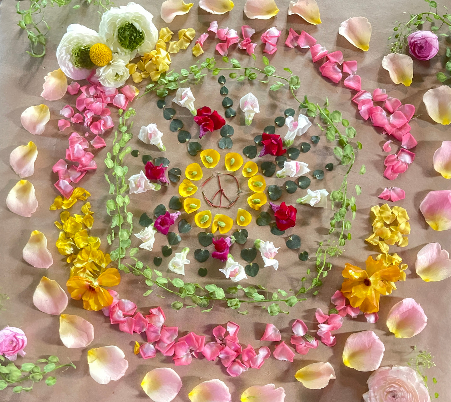 
                  
                    Saturday, Jan 17th | Mandalas & Meditation
                  
                