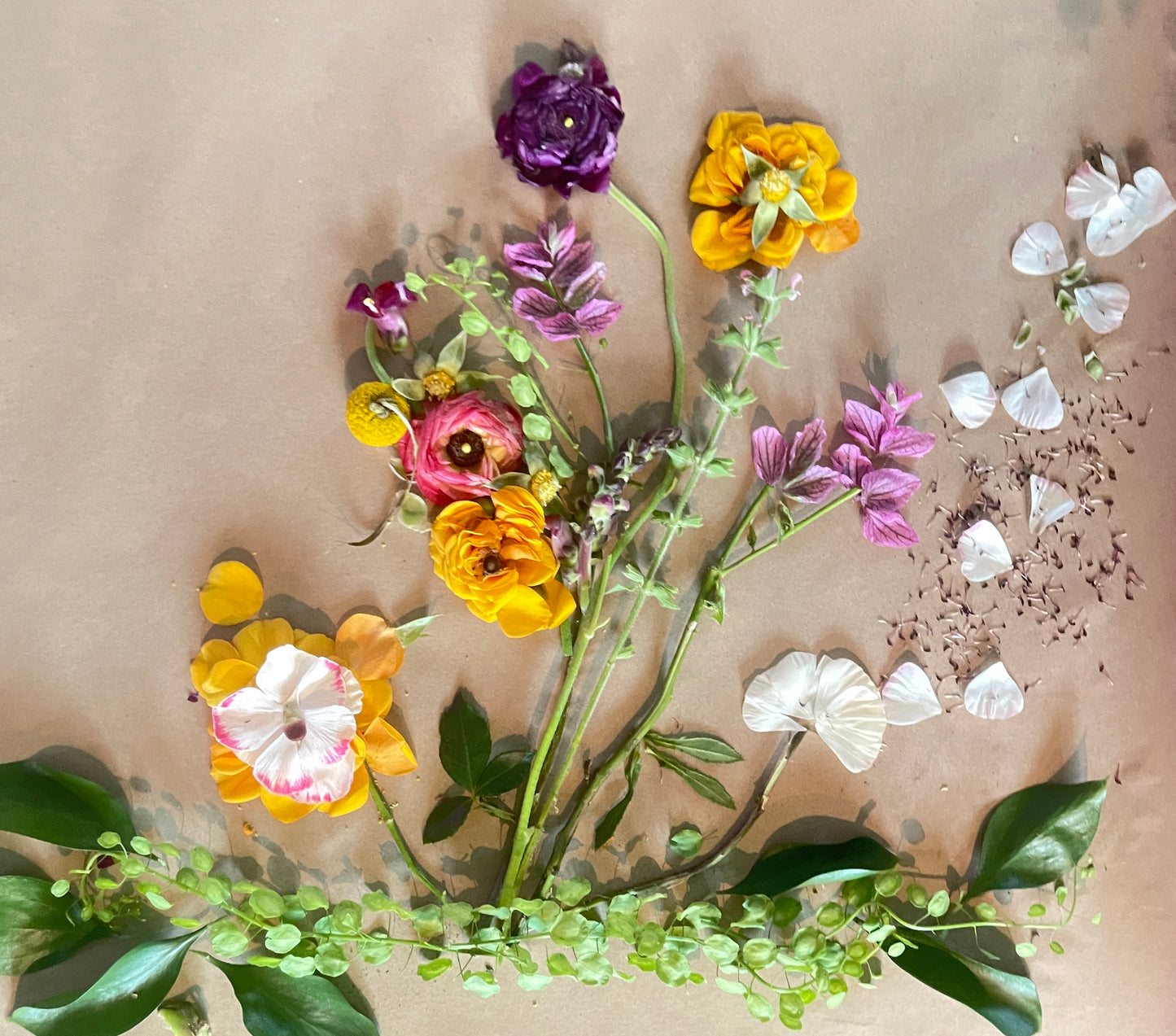 
                  
                    Saturday, Jan 17th | Mandalas & Meditation
                  
                