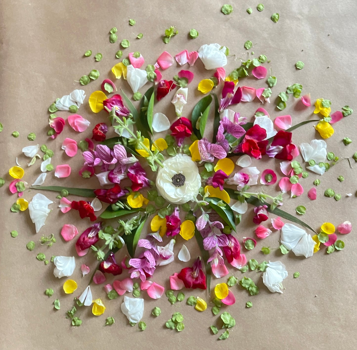 
                  
                    Saturday, Jan 17th | Mandalas & Meditation
                  
                