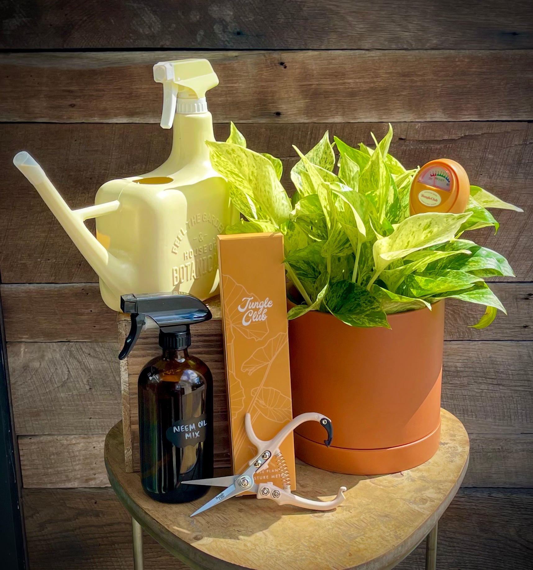 トライアルセット・サンプル nimin PREMIUM GROWTH ESSENCE & FAIRY For the Plant Lover: Deluxe Plant Gift Set – Roadside Blooms