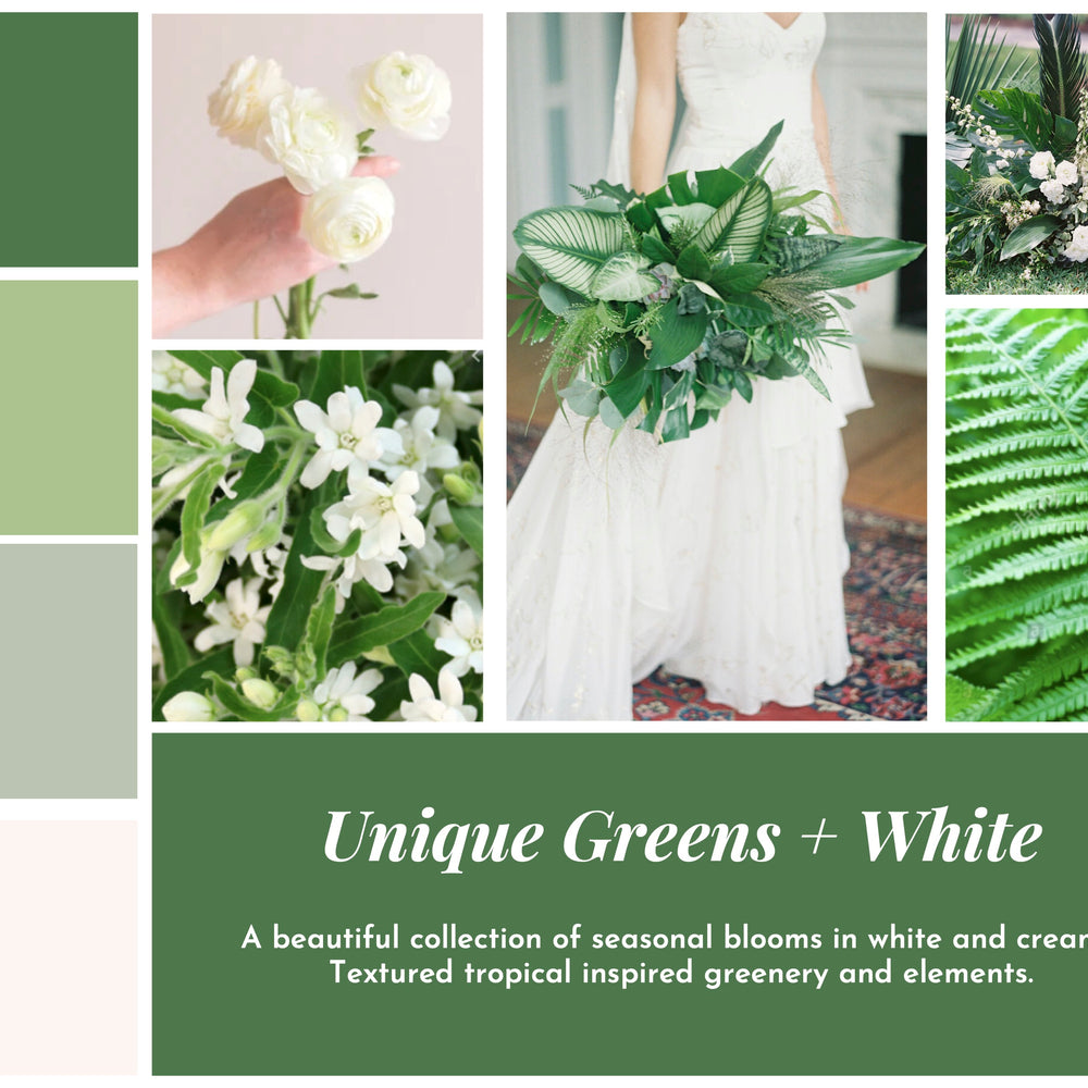 
                  
                    Elopement Bouquet
                  
                