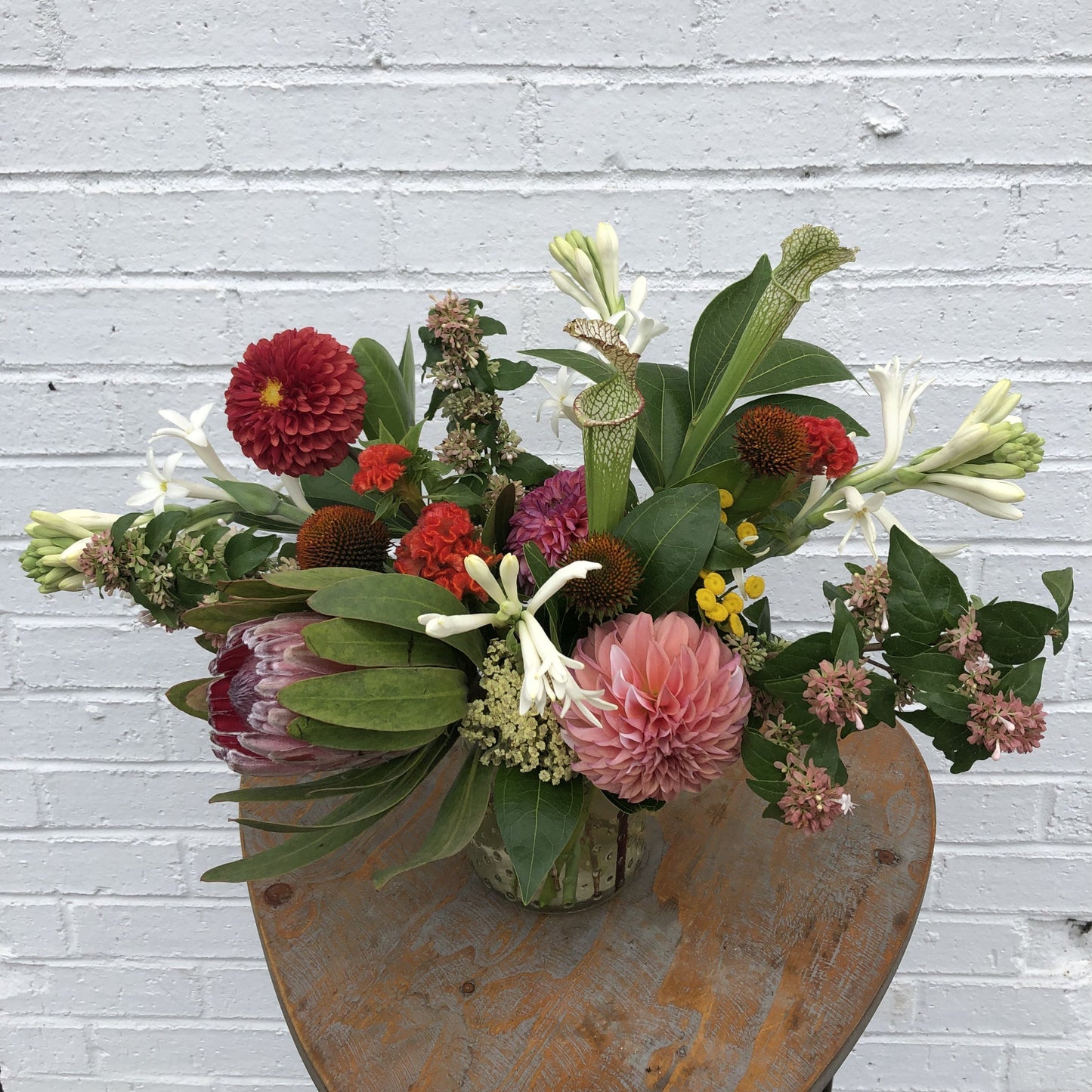 
                  
                    Seasonal Arrangement (Small)
                  
                