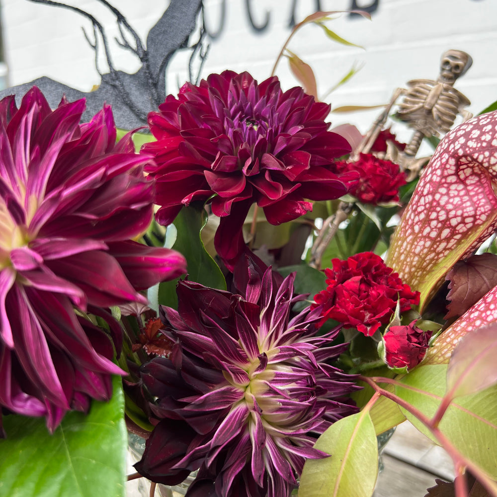 
                  
                    Morticia's Bouquet
                  
                
