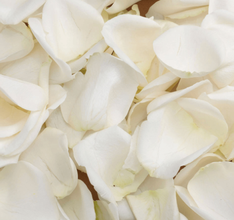Petals for Flower Girl